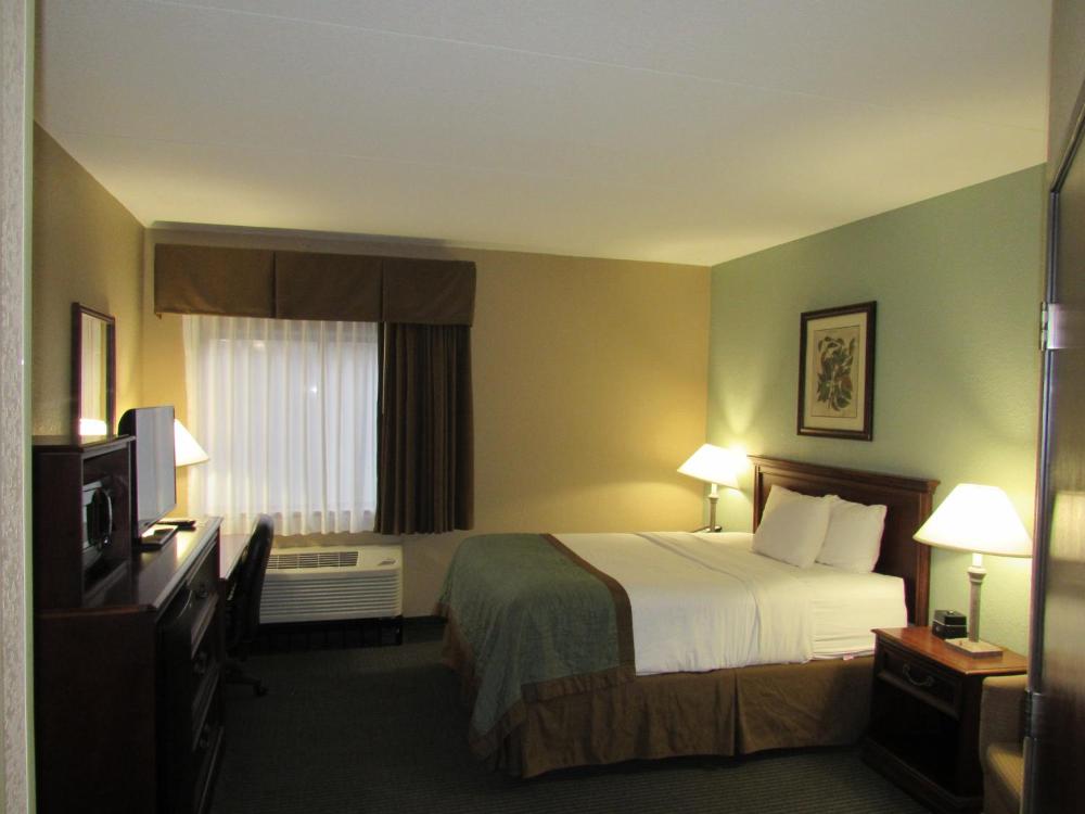 Queen Room - Disability Access - Non-Smoking