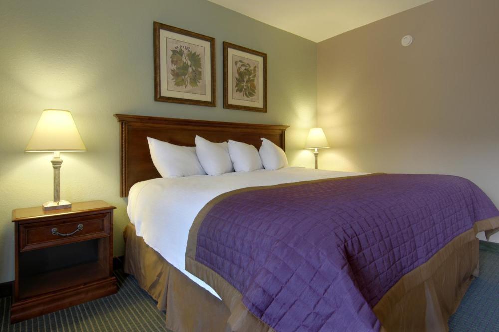 Room image 4