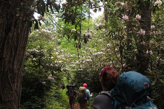 Tour image 2